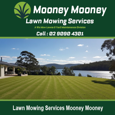 Expert lawn mowing results for waterfront properties in Mooney Mooney NSW Australia